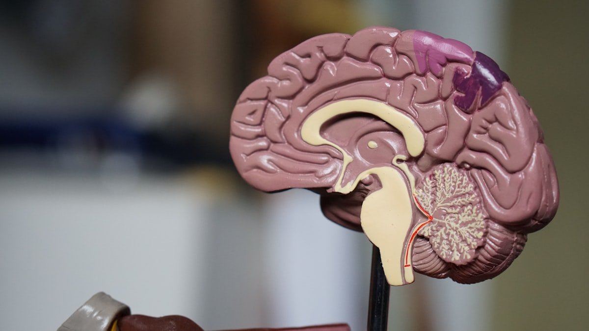 AI Diagnoses Rare Cancers With 97% Accuracy — Outperforming Specialist Oncologists